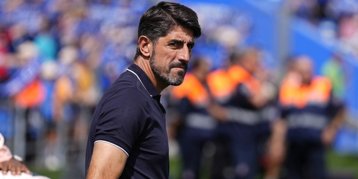 veljko-paunovic-reprezentacija